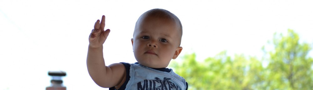 A Day in the Life…